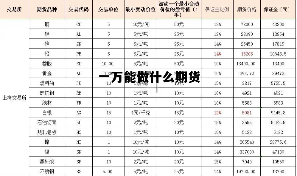 一万能做什么期货 期货1万元一天最多能赚多少