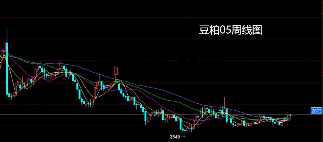 炒期货豆粕要注意什么 炒期货豆粕要注意什么问题